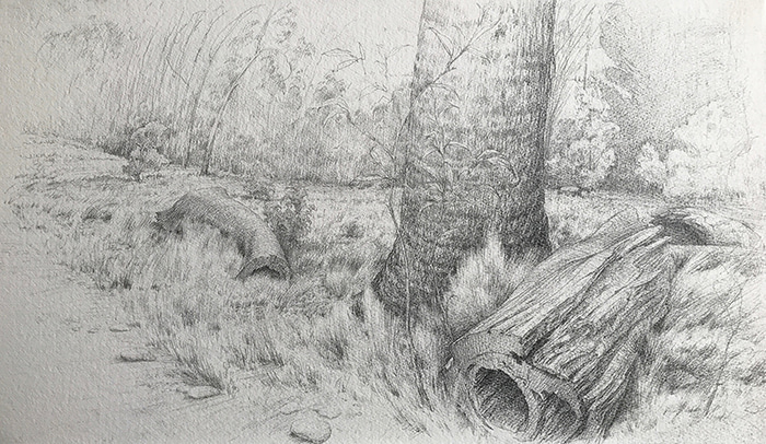 Study for Fallen Timber by Scott  Breton | Lethbridge Gallery